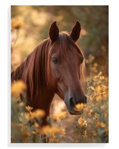 Majestic Horse in Golden Fields