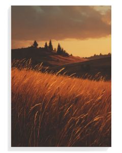 Golden Grasslands Serenity