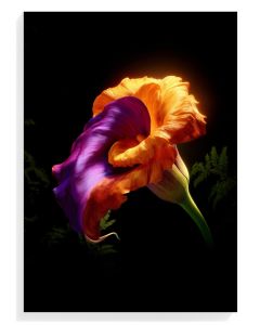 Vibrant Floral Elegance