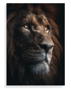 Majestic Lion Portrait