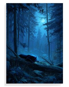 Midnight Panther Serenity