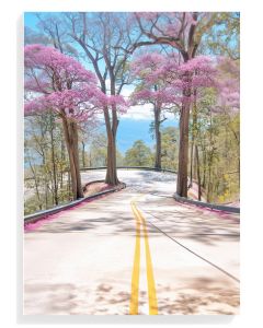 Blossom Road Serenity