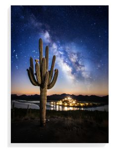 Desert Night Sky Cactus