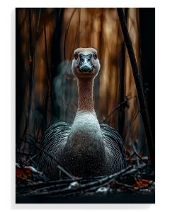 Majestic Goose Portrait