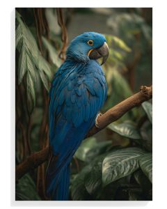 Blue Macaw Elegance