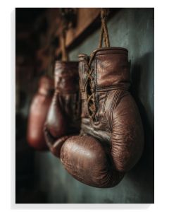 Vintage Boxing Gloves
