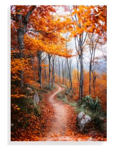 Autumn Pathway Serenity
