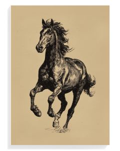 Galloping Horse Sketch