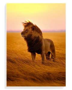 Majestic Lion at Sunset