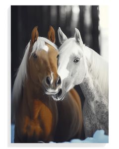 Equine Embrace Monochrome
